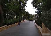 Губернаторский сад (Парк Филармонии)