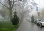 Садик `Сахил` в зимнем тумане