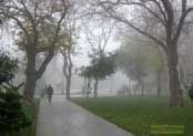 Садик `Сахил` в зимнем тумане