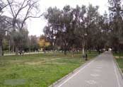 Парк Зорге в Баку