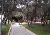 Ахмедлинский парк